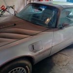 1979 Pontiac Trans Am Classic Muscle car For Sale